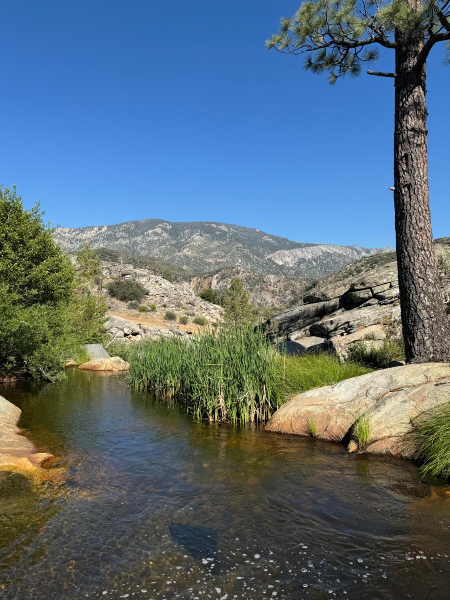 Peppermint Falls Ranch Ponderosa المظهر الخارجي الصورة