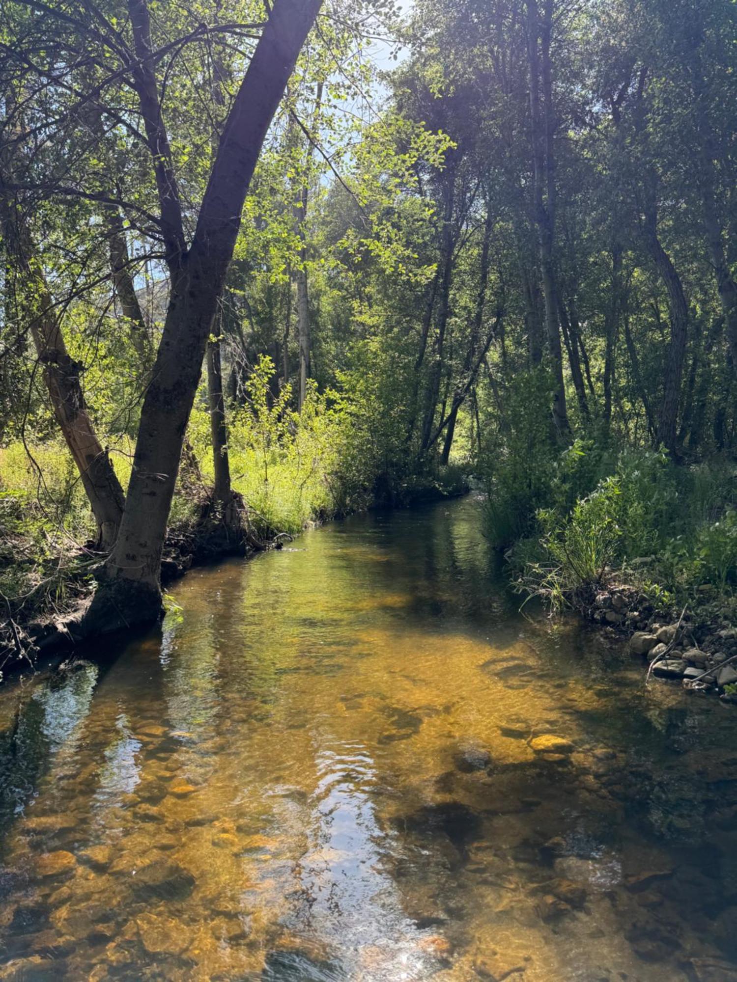 Peppermint Falls Ranch Ponderosa المظهر الخارجي الصورة